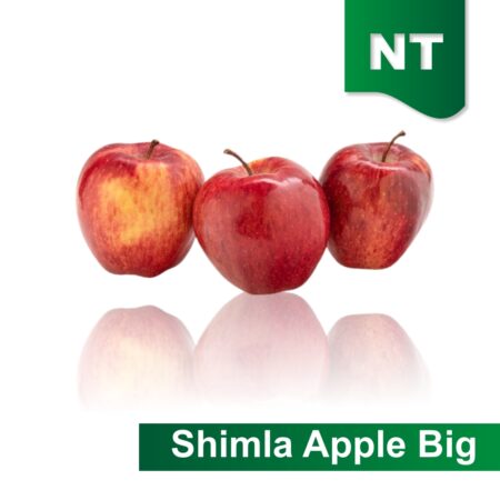 Shimla Apple Big